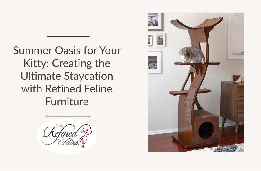 Summer Oasis for Your Kitty: Creating the Ultimate Staycation with The Refined Feline Furniture