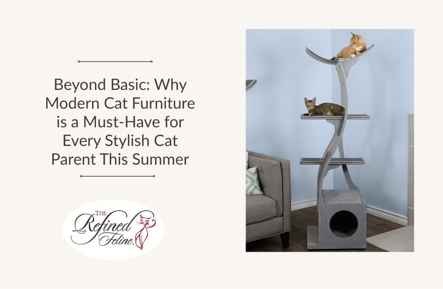 Two cats lounge on different levels of modern, minimalist cat furniture beside a sofa in a stylish summer setting.