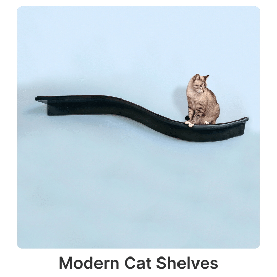 3 Gray cat sitting on black, wave-shaped wall-mounted shelf labeled Product 3 against light blue background.