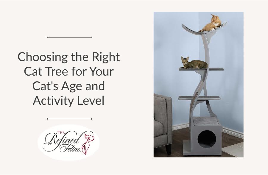 Choosing the Right Cat Tree for Your Cat's Age and Activity Level