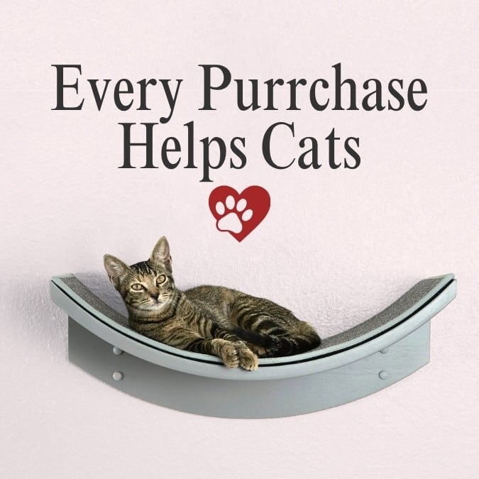 every purrchase helps cats