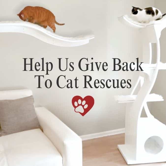 Two cats relax on white cat furniture above text, “Help Us Give Back To Cat Rescues,” with a red paw print below.