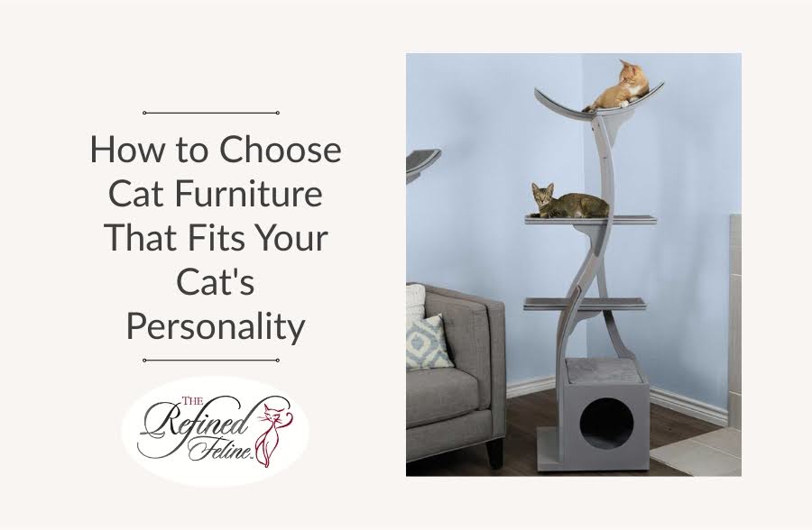 Two cats lounge on modern cat furniture beside a gray couch. Text: “How to Choose Cat Furniture That Fits Your Cat’s Personality.”.