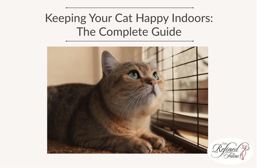 Tabby cat sits by a window looking out; title reads "Keeping Your Cat Happy Indoors," The Refined Feline logo in corner.