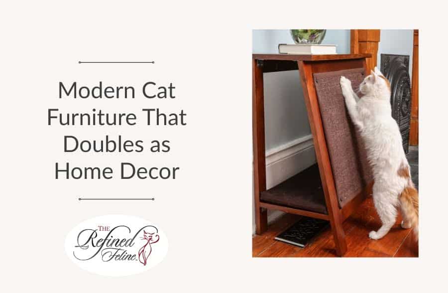 Modern Cat Furniture That Doubles as Home Decor