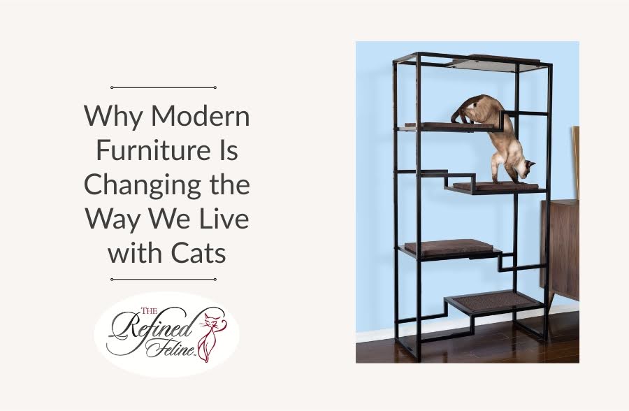 A cat climbs a modern, multi-platform cat tower beside text about the impact of stylish cat furniture on home life.