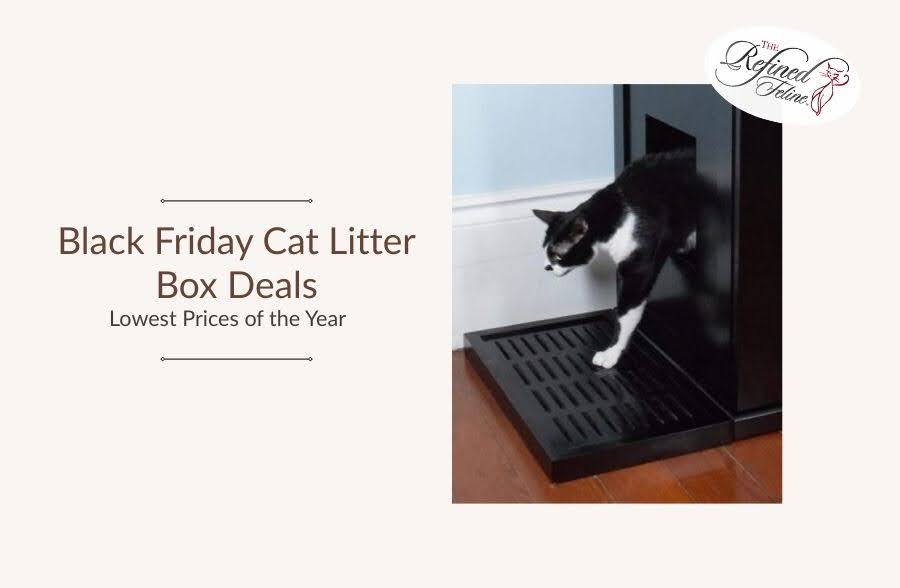Black and white cat stepping out of a modern litter box. Text: Black Friday Sale—Cat Litter Box Deals, Lowest Prices of the Year.