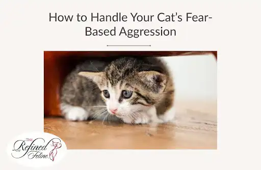 Small tabby kitten hiding under furniture, looking scared. Text: Cat Aggression—How to Handle Fearful Cats. Refined Feline logo in corner.