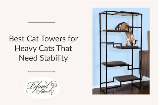 Cat Tower for Heavy Cat