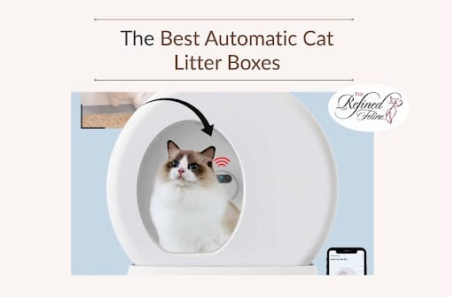 Cat sitting inside a white automatic litter box with display; text above reads The Best Automatic Cat Litter Boxes.