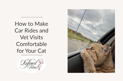 Cat with head on car window looks outside; overlaid text says, How to Make Car Rides and Vet Visits Comfortable for Your Cat.