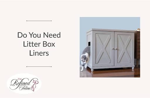 Cat exiting gray cabinet litter box on wooden floor. Text asks about litter box liners. Refined Feline logo in corner.