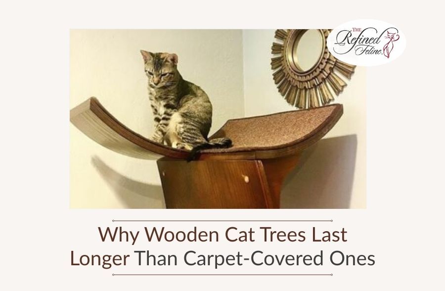 Tabby cat perched on wooden cat tree beside a decorative mirror. Caption: Why Wooden Cat Trees Last Longer Than Carpet-Covered Ones.