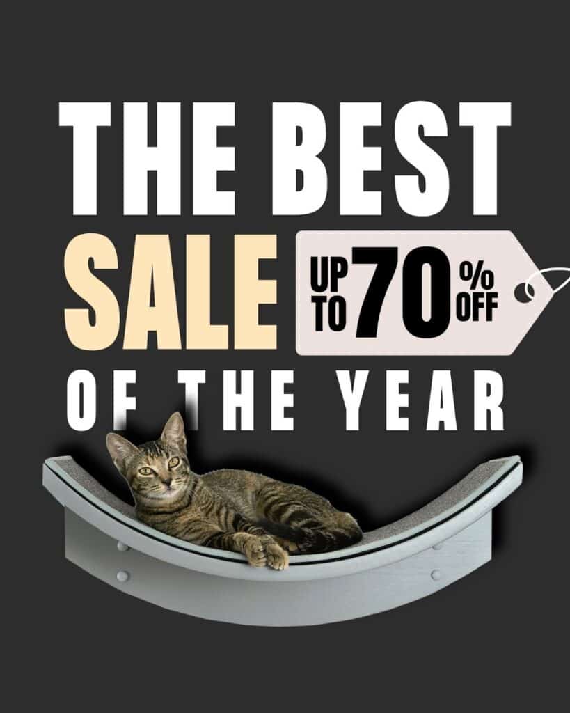 A tabby cat lounges below bold text: The Best Cat Furniture Black Friday Sale - Up to 70% Off, on a dark background.