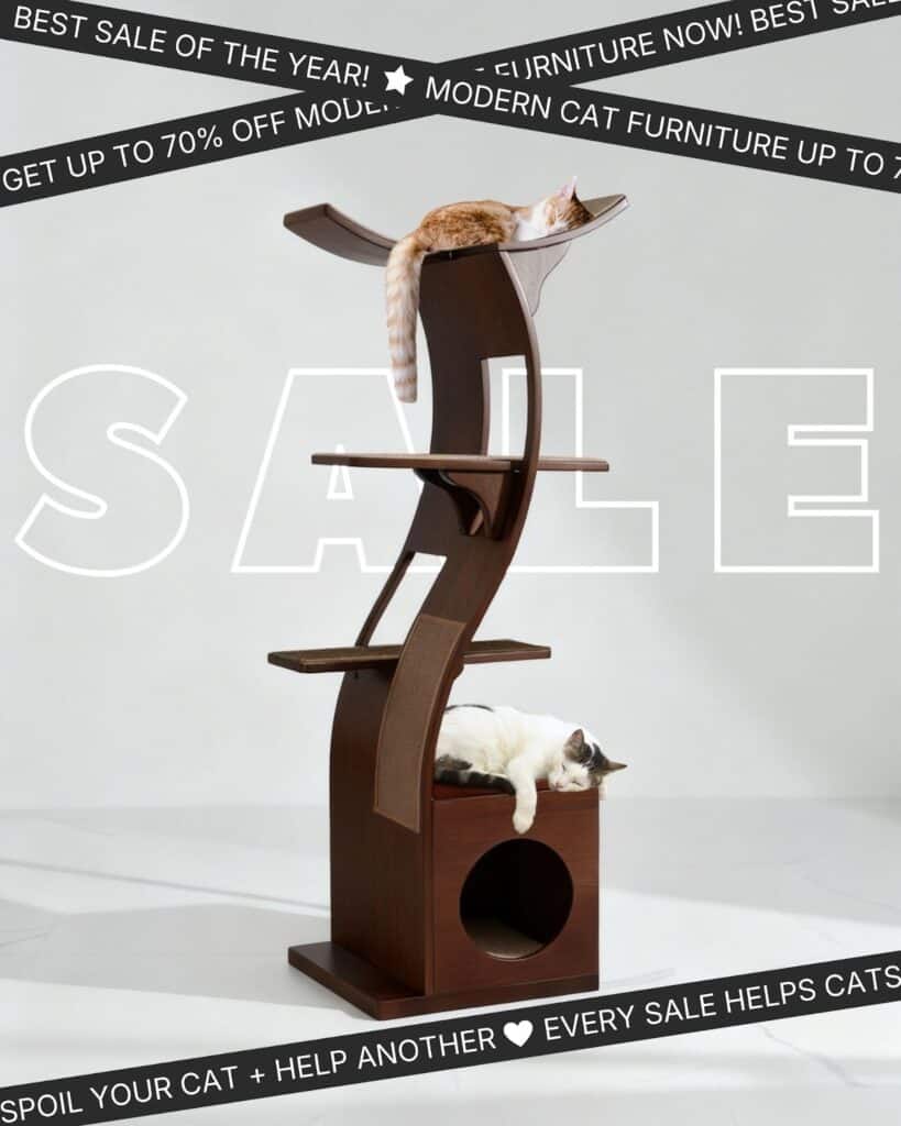 Two cats rest on a cat tower, one on top and one at the base, with Black Friday Sale banners across the scene.