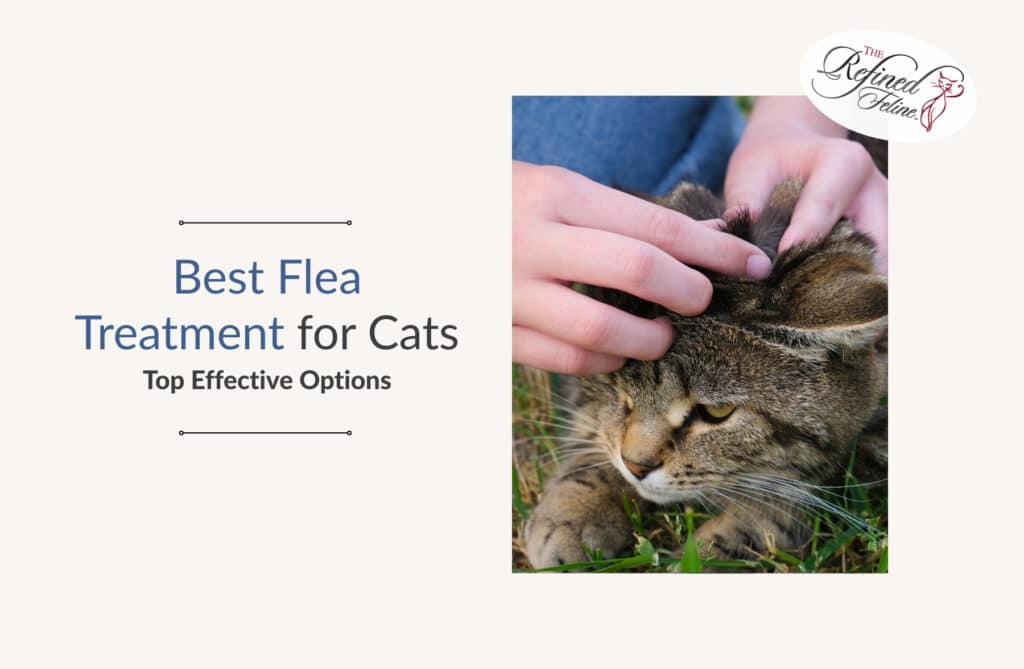 A person examines a cat’s fur outdoors; “Best Flea Treatment for Cats” text and product logo appear in the top right.