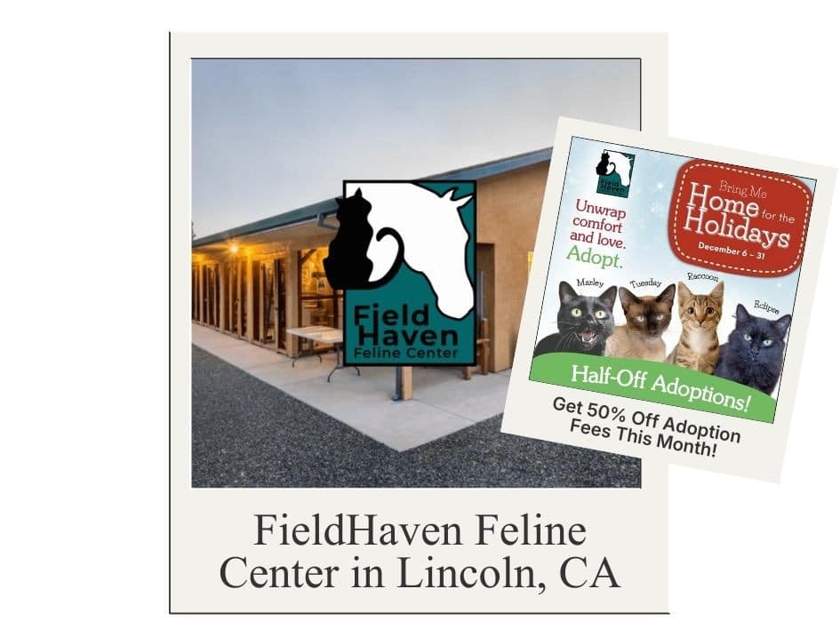 FieldHaven Feline Center