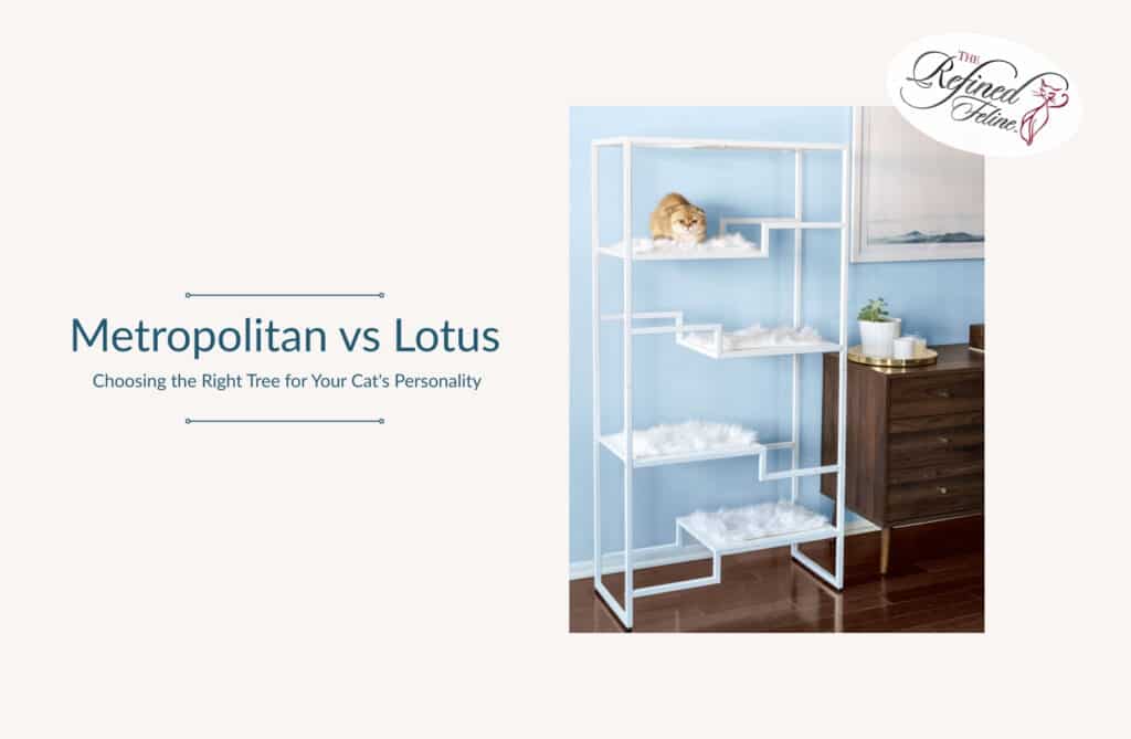 White cat tree with platforms next to wood dresser, cat on top shelf. Left text: “Metropolitan vs. Lotus…”.