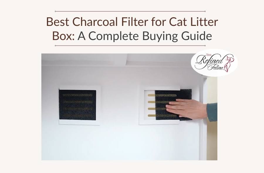 Best Charcoal Filter for Cat Litter Box: A Complete Buying Guide