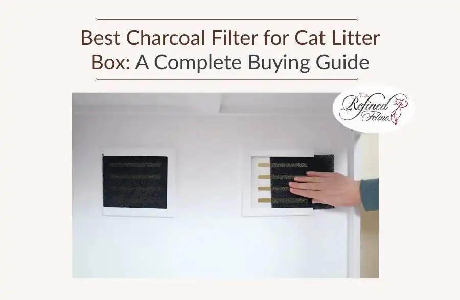 Person placing a rectangular charcoal filter in a white cat litter box next to another filter for odor control.