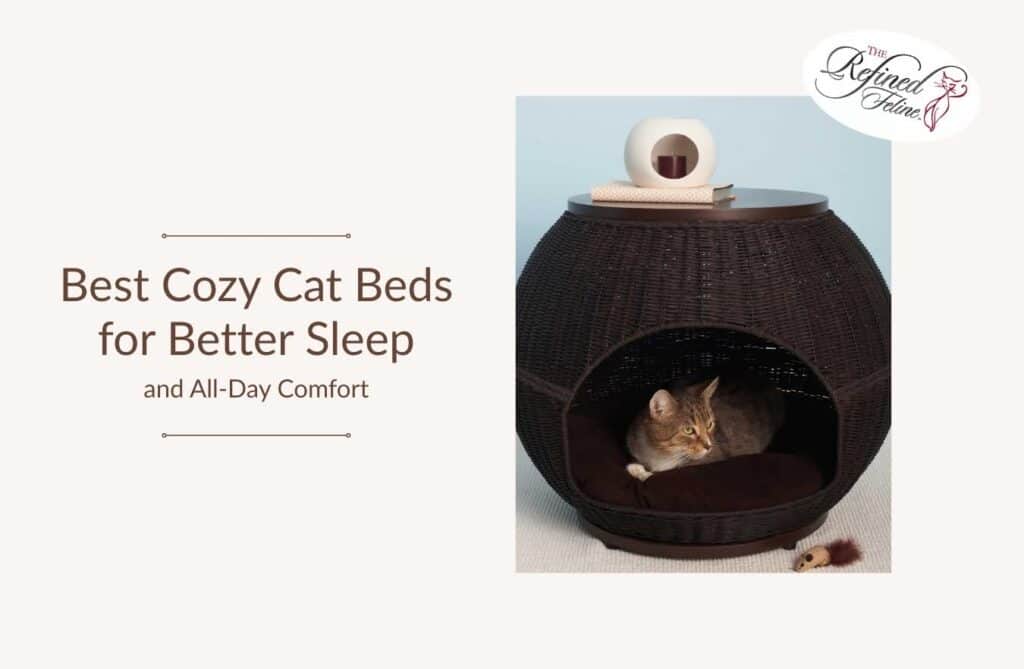 Brown wicker cat bed with round opening and cat inside; small decor on top. Text: Best Cozy Cat Beds for Better Sleep.