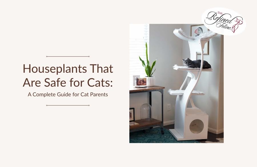 Cat lounging on white cat tree beside table with potted plant and text about pet-safe houseplants for cat owners.