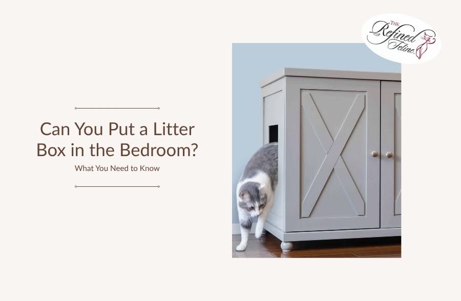 Gray and white cat exits a gray cabinet litter box beside text: "Can You Put a Litter Box in the Bedroom What You Need to Know".