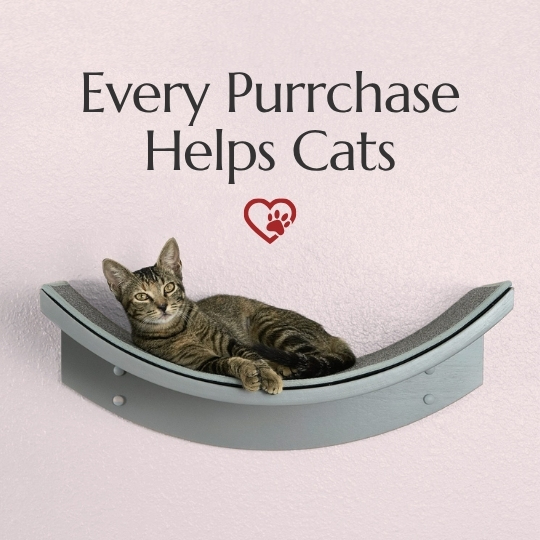 A tabby cat lounges on a curved wall shelf beneath “Every Purrchase Helps Cats” and a heart-shaped paw print.