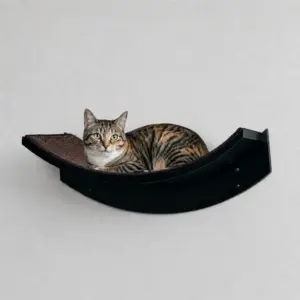 Tabby cat resting on a sleek black Lotus Leaf shelf mounted against a plain, light-colored wall.