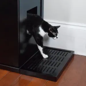 A black and white cat steps from a black litter box cabinet onto an ebony slatted mat on a wooden floor by a white wall.