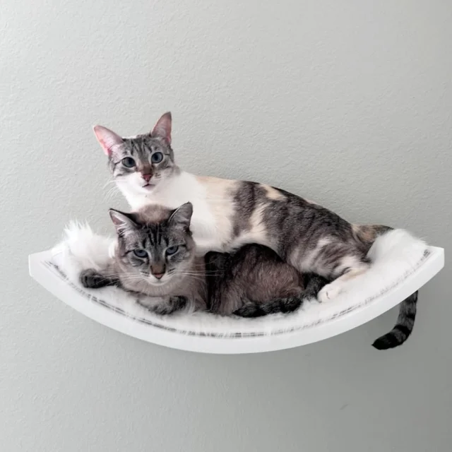 Who needs wall art when you can have two adorable cats perched up on your living room walls?
Our wall shelves and perches are designed to accent your walls, but function as sturdy spots for one (or more) of your cats. Click the link in our bio to shop!
Reposted from @mochiiiicat
.
.
.
#refinedfeline #cat #catsofinstagram #cats #catlover #catlife #catlovers #catmemes #catphoto #catvideos #catlifestyle #catlady #ilovemycat #catrescue #catcafe #catinfluencer #catadventures