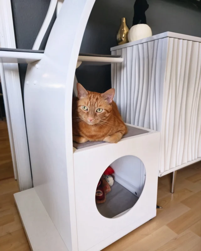 Just loafing around. 🍞🐈
The Lotus Cat Tower is designed to provide the perfect spots for your cat to loaf and play. Multiple finishes available! Head to TheRefinedFeline.com to shop, link in bio.
.
.
.
#refinedfeline #cat #catsofinstagram #cats #catlover #catlife #catlovers #catmemes #catphoto #catvideos #catlifestyle #catlady #ilovemycat #catrescue #catcafe #catinfluencer #catadventures