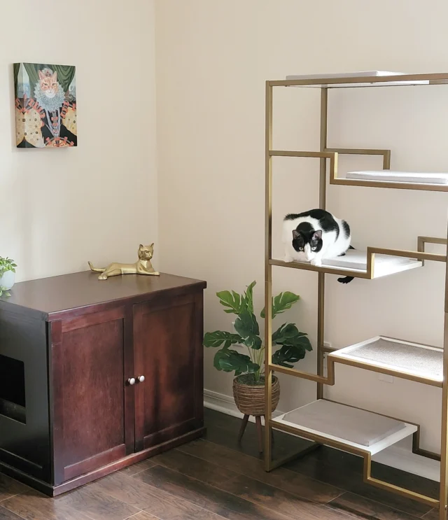 The Metropolitan Cat Condo and the Refined Litter Box Deluxe Cabinet make for a striking cat room.
Click the link in our bio to shop.
.
.
.
#refinedfeline #cat #catsofinstagram #cats #catlover #catlife #catlovers #catmemes #catphoto #catvideos #catlifestyle #catlady #ilovemycat #catrescue #catcafe #catinfluencer #catadventures