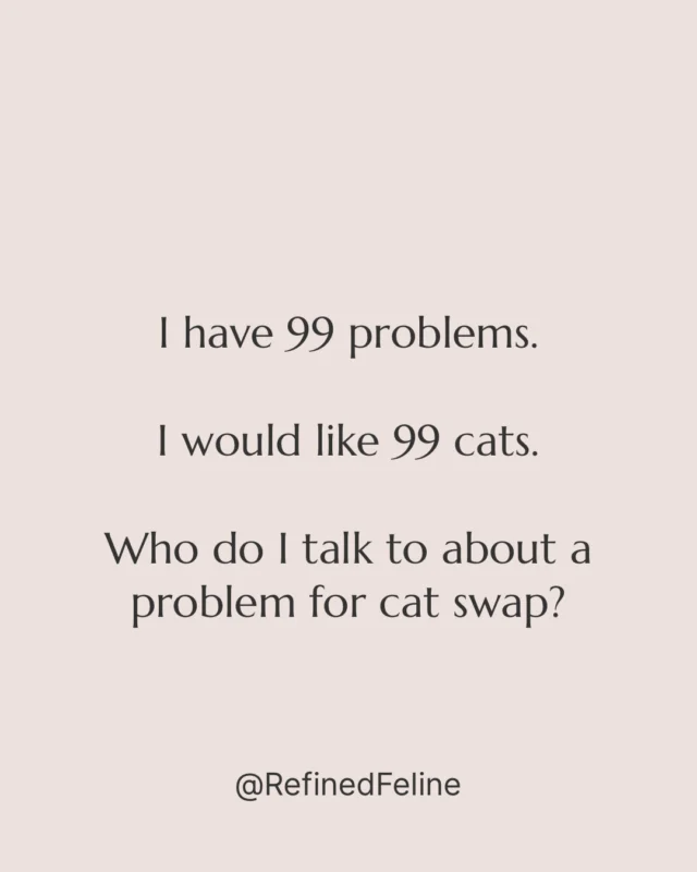 Seriously, is there a 1800 number for this?
#cat #catsofinstagram #catlovers #catsofinstagram #catlover #kitty #catlove #kitten #catstagram #lovecats #kittycat #meow #catlady #catstyle #catlife #crazycatlady #catoftheday #catsagram #instacat #cats_of_instagram #instagramcats #kittens #ilovemycat