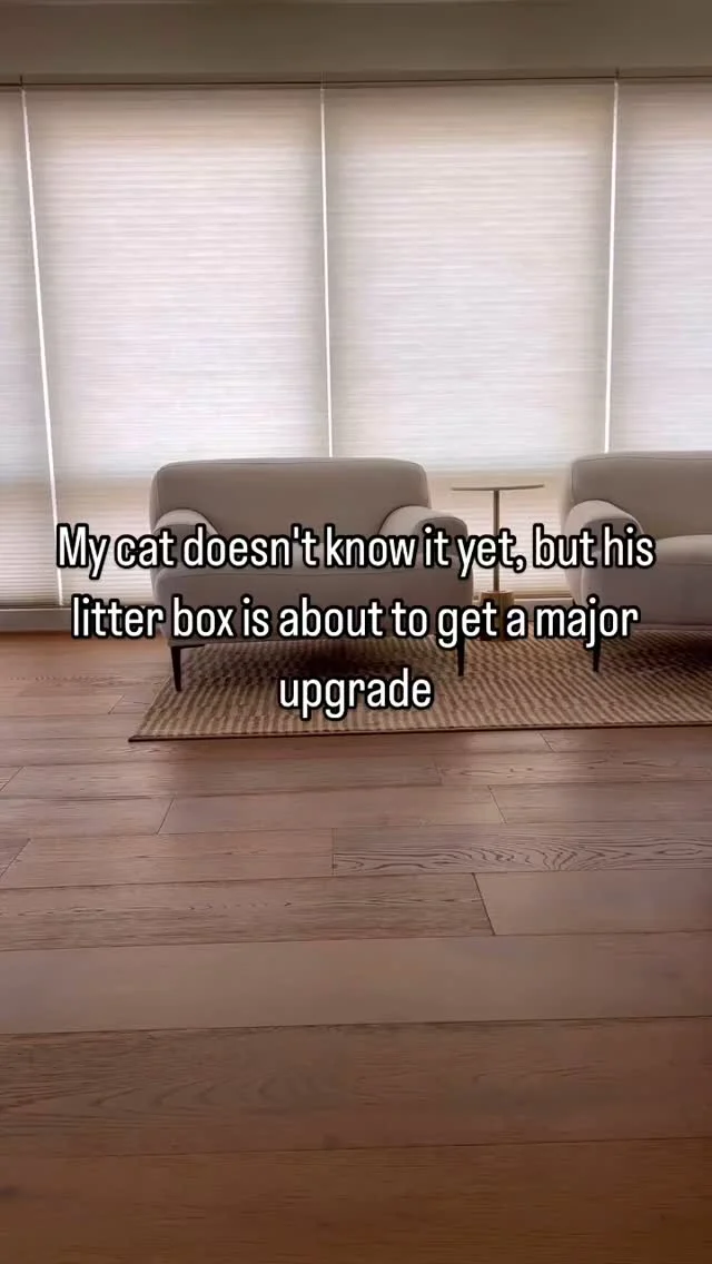 EVERYONE in the house gets an upgrade✨
UBPET Self-Cleaning Litter Box
#refinedfeline #cat #cats #catlover #cats_of_instagram #catstyle #litterbox #automaticlitterbox