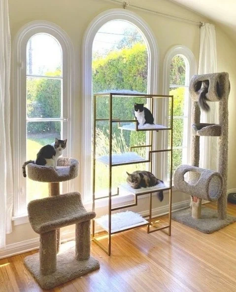 When people ask who my interior designer is, I immediately pull out 1000 photos of these guys. 🐈 Shop our 20 Year Anniversary Sale now to get up to 20% off!
#cat #catfurniture #catdecor #interiordeign #catmom #catperson #MetropolitanCatCondo
